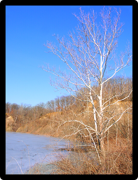 View of ice covered Emerald Pond at Kickapoo State Park in Illinois.