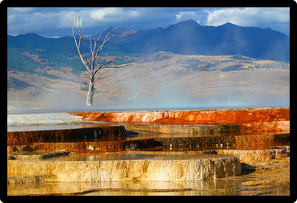 Hot waters of Canary Spring of the Mammoth Hot Springs in Yellowstone National Park.