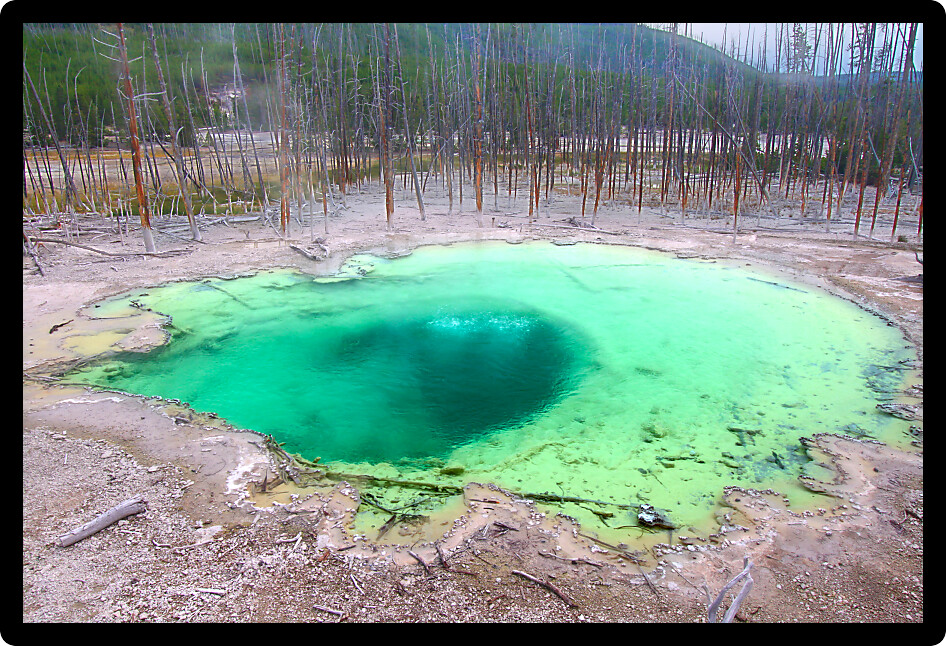 Beautiful hues of Cistern Spring in the Norris Geyser Basin of Yellowstone National Park.