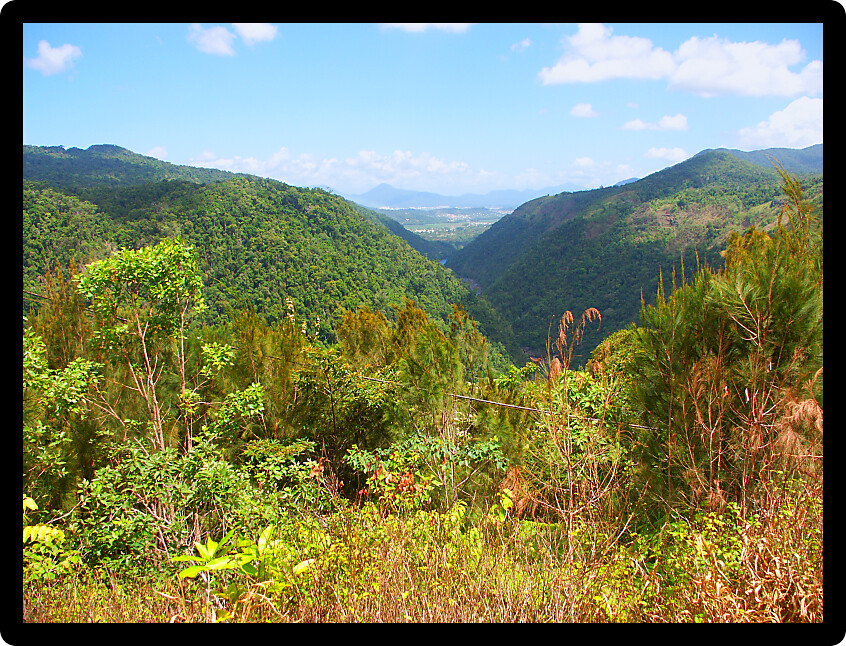 Scenic view of Barron Gorge in tropical Queensland Australia.