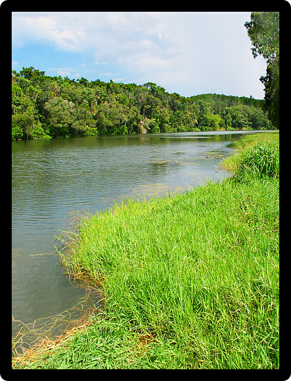 View of the mighty Barron River from Kuranda in tropical Queensland Australia.