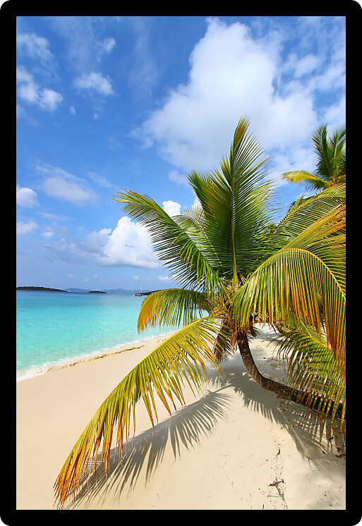 Sunny tropical day at Solomon Bay in the US Virgin Islands.