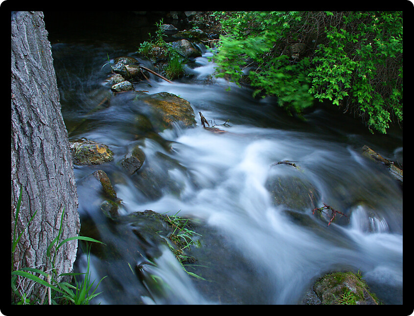 Serene cascade at Bluff Creek State Natural Area in southern Wisconsin.