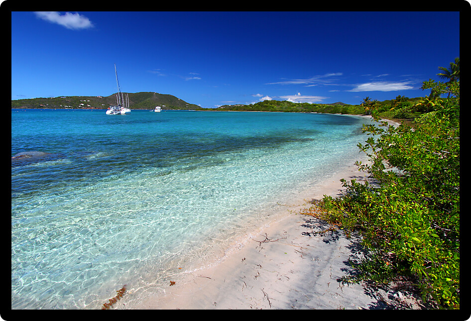 Vegetation along a beautiful beach British Virgin Islands.
