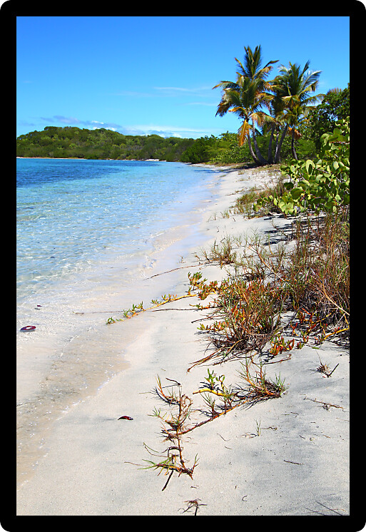 Beautiful Caribbean beach scenery in the British Virgin Islands.