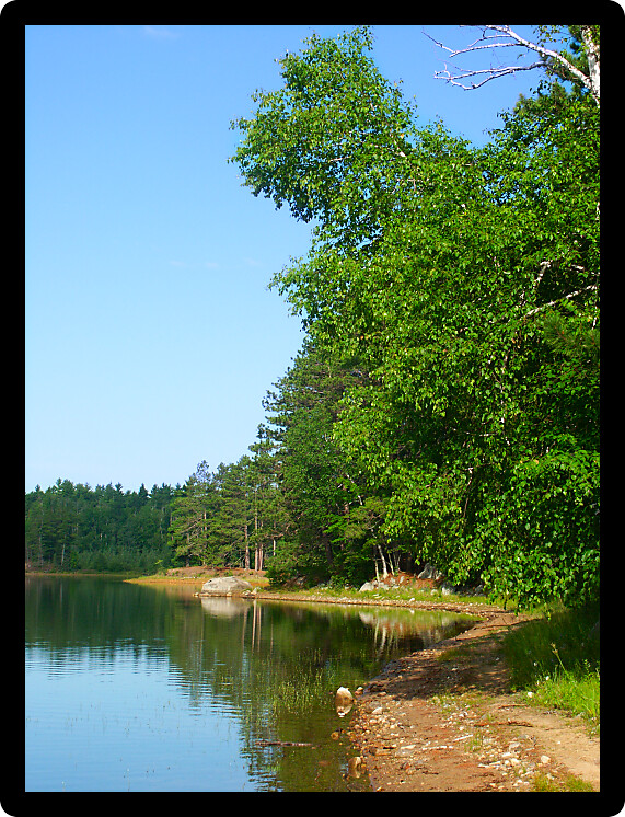 View of Buffalo Lake in the northwoods of Wisconsin.