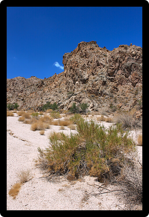 Arid desert landscape of Grapevine Canyon in Nevada.