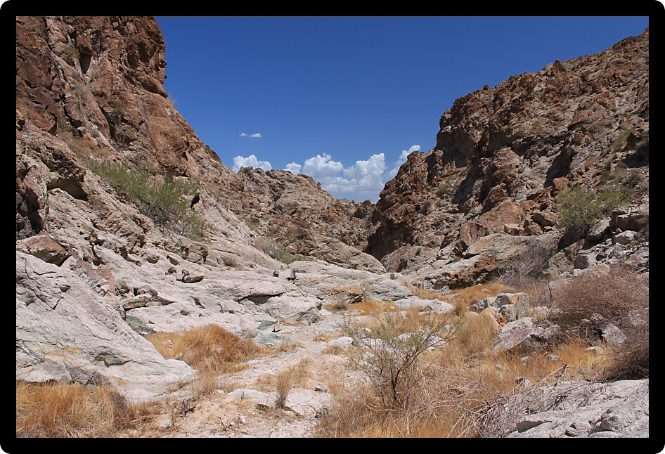 Harsh desert terrain of Grapevine Canyon in Nevada.