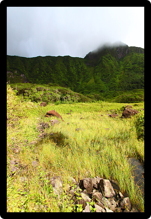 View of Mount Liamuiga from the bottom of The Crater of Saint Kitts.