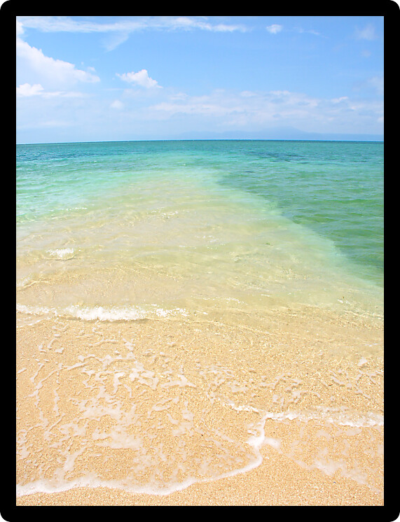 Beach on the Low Isles in tropical Queensland Australia.