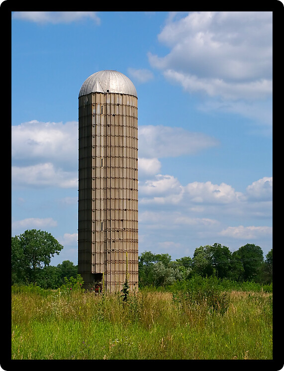 Abandoned farm silo at Distillery Conservation Area in northern Illinois.