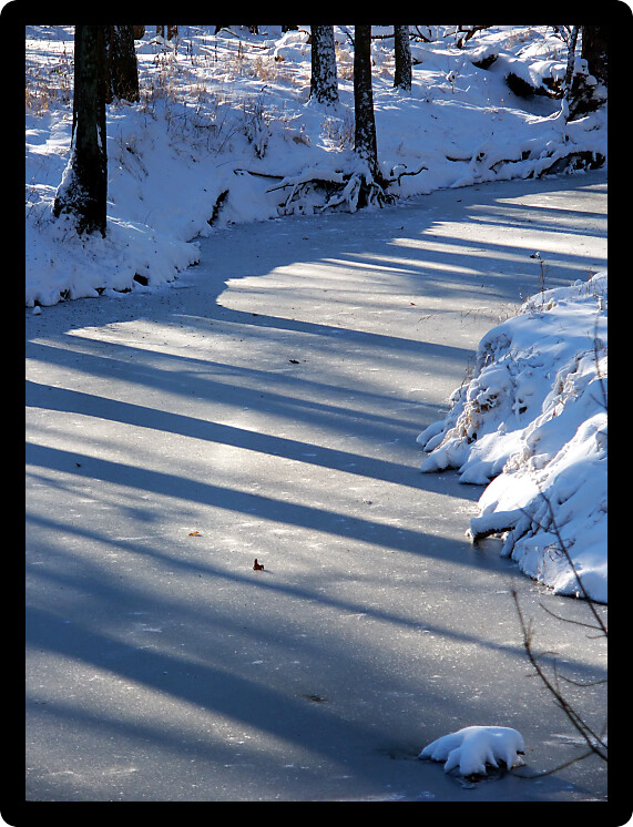 Shadows cast over a frozen creek at Allerton Park in central Illinois.