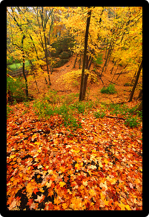 Beautiful autumn landscape at Rock Cut State Park in northern Illinois.