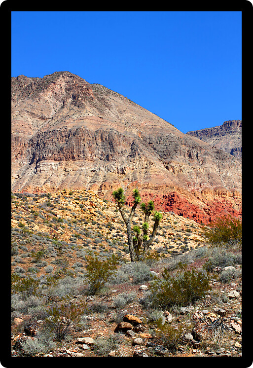 Landscape of the Beaver Dam Mountains Wilderness Area in the northwest corner of Arizona.