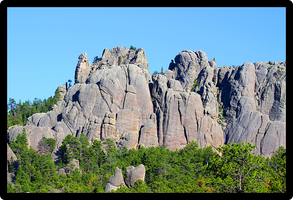 Rock formations scatter the pine forests of Black Hills National Forest in South Dakota.