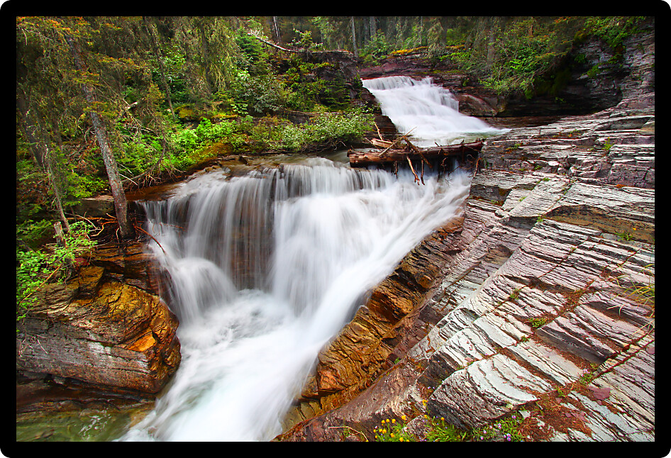 Beautiful waterfall flows through the pine forests of Glacier National Park in Montana.