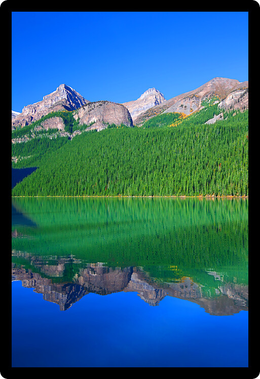 Treeline reflections on Lake Louise of Banff National Park in Canada.