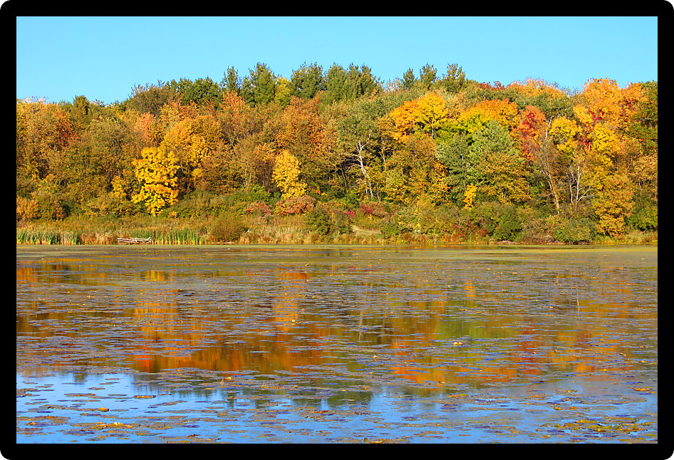 Colorful shoreline of Olson Lake in Rock Cut State Park of Illinois.