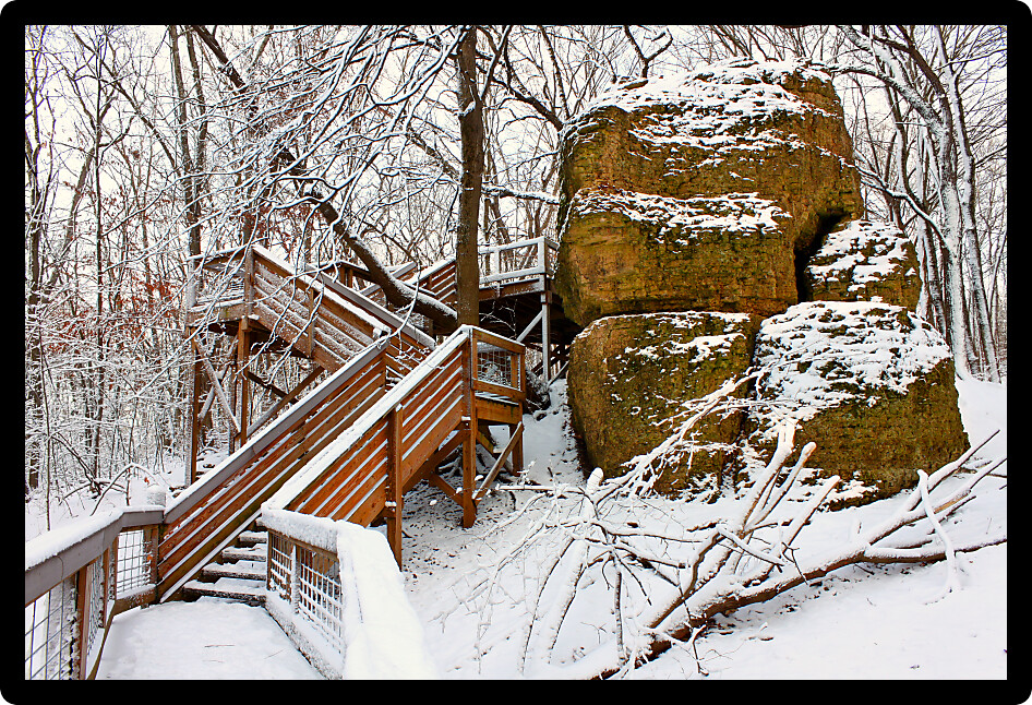 Boardwalk through a snow covered forest of northern Illinois.
