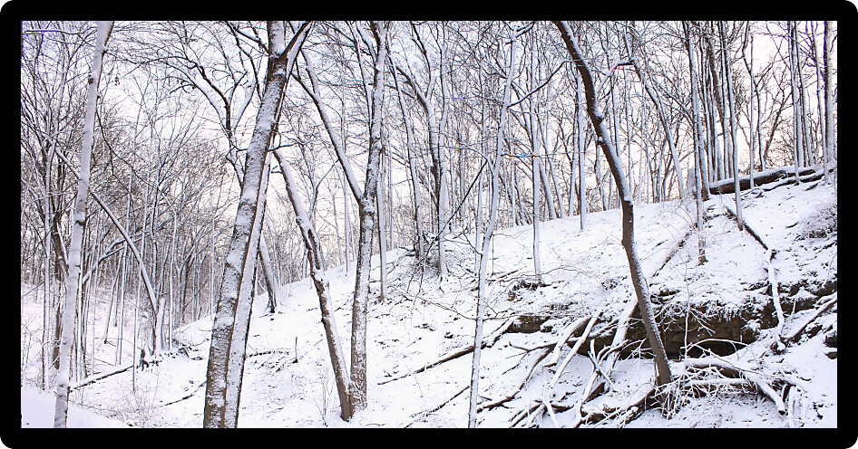 Forest winter wonderland in Rock Cut State Park of Illinois.