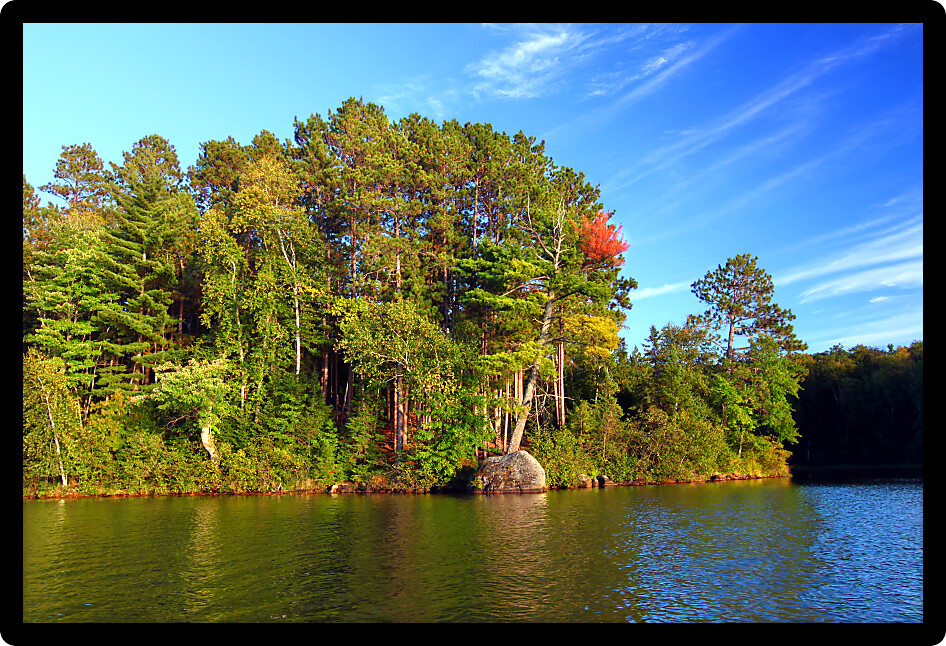 Beautiful foliage along the shoreline of Sweeney Lake in northwoods Wisconsin.