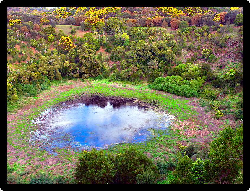 Pond at the bottom of a small crater at Tower Hill State Game Reserve in Victoria Australia.