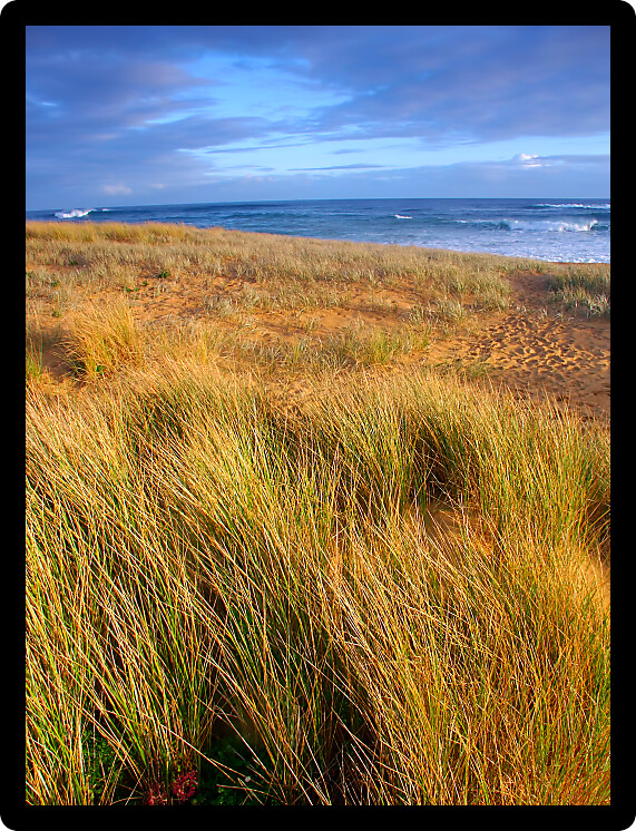 Beautiful sandy beach along the Pacific coastline of Warrnambool Australia.