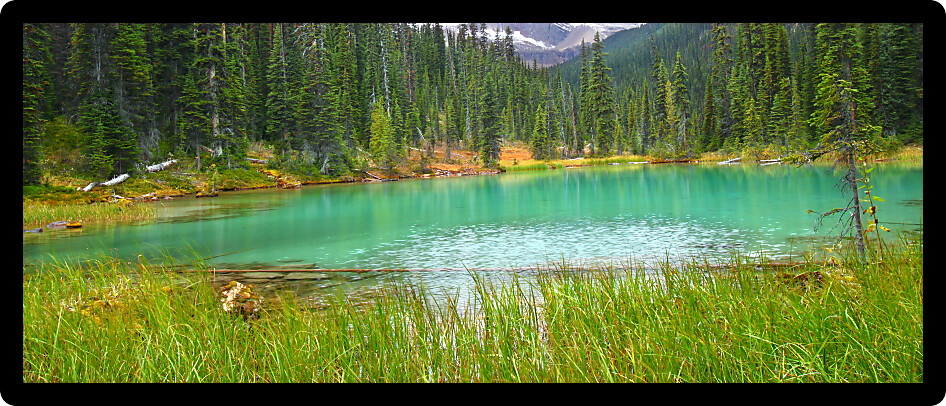 Lovely turquoise colored pond in Yoho National Park of British Columbia.