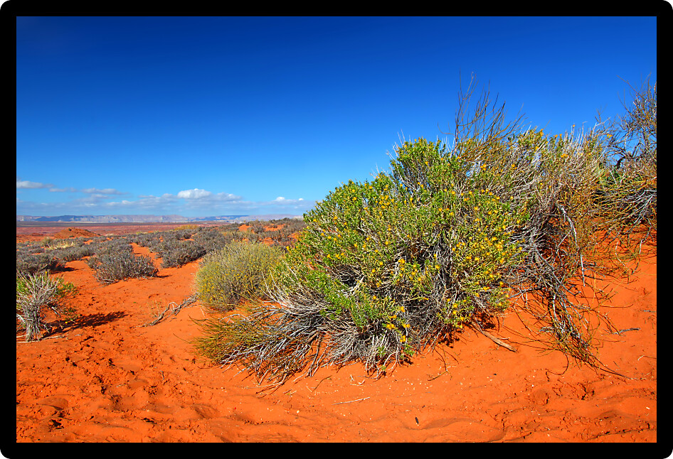 Red rocky landscape of northern Arizona in the United States of America.