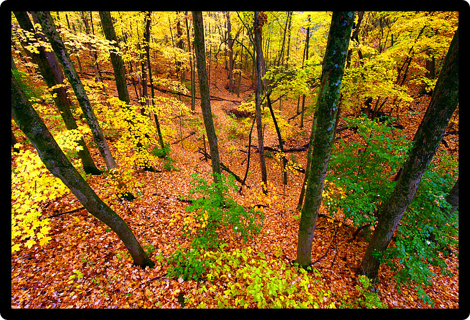 Beautiful autumn landscape at Rock Cut State Park in northern Illinois.
