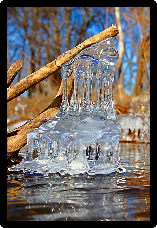 Natural ice sculptures along the Kishwaukee River in northern Illinois.