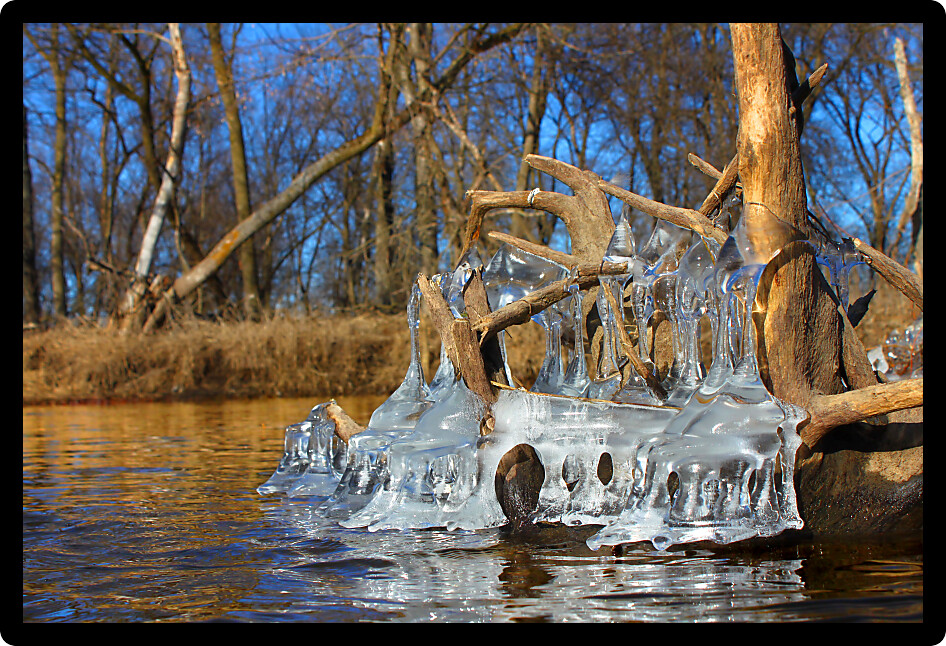 Natural ice sculptures along the Kishwaukee River in northern Illinois.
