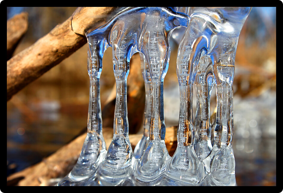Natural ice sculptures along the Kishwaukee River in northern Illinois.