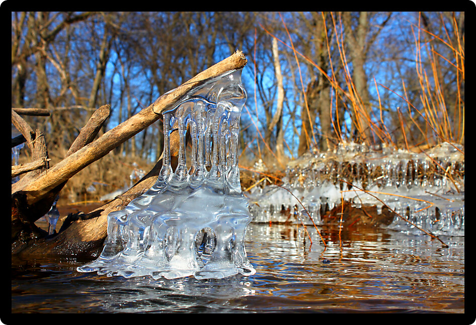 Natural ice sculptures along the Kishwaukee River in northern Illinois.