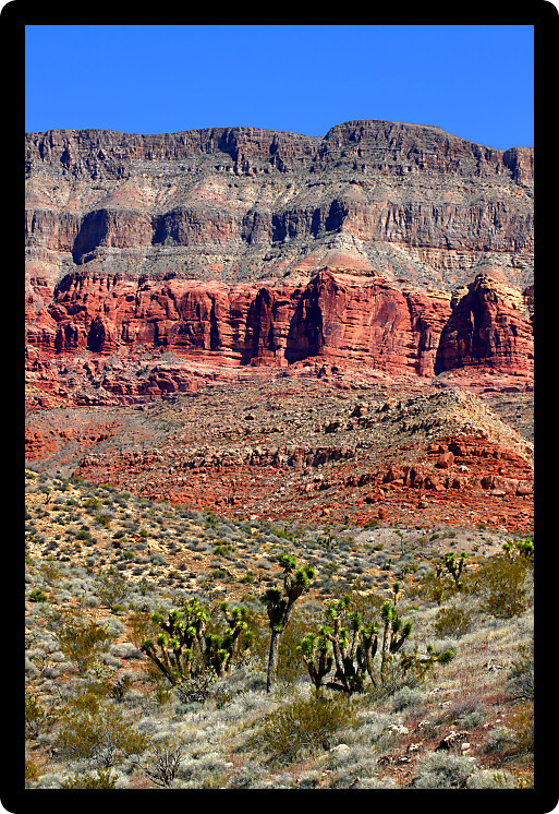 Landscape of the Beaver Dam Mountains Wilderness Area in the northwest corner of Arizona.