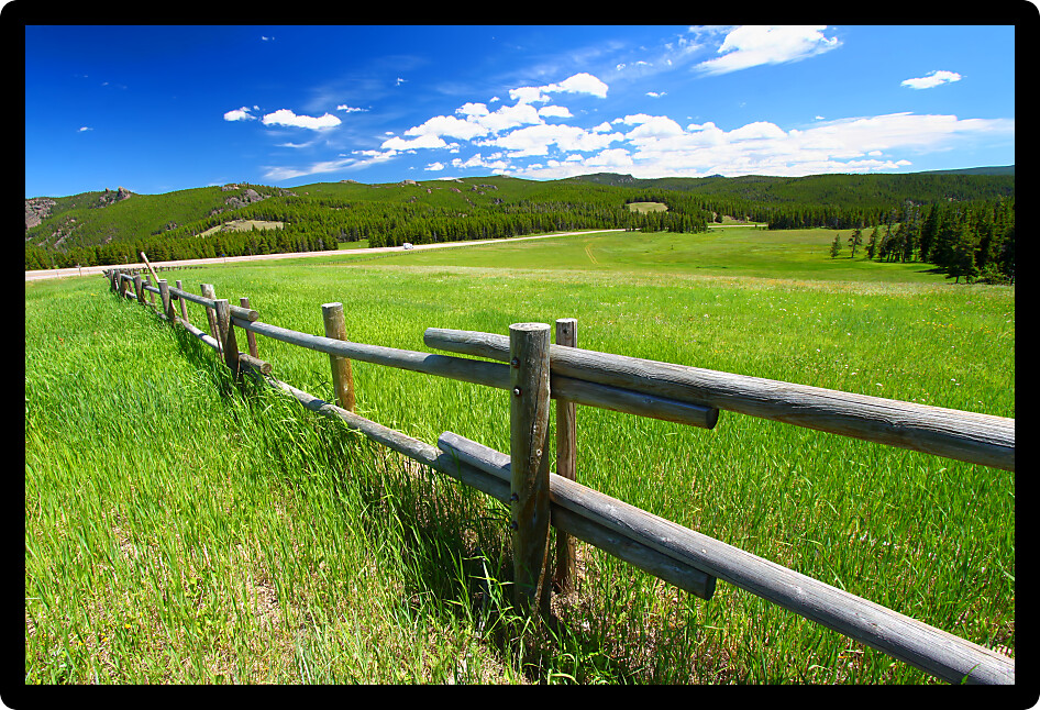 Old wooden fenceline in a meadow of the Bighorn National Forest in Wyoming.