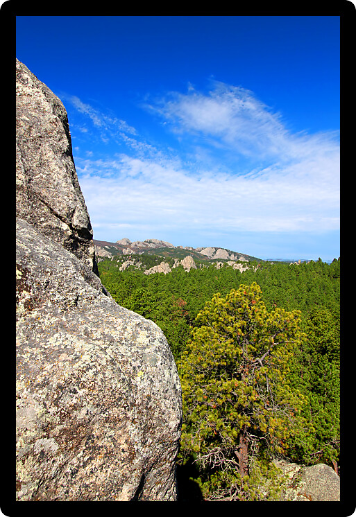 Rock formations scatter the pine forests of Black Hills National Forest in South Dakota.