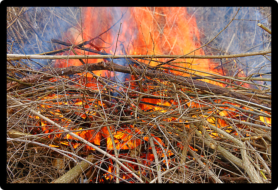 Burning pile of brush in northern Illinois.
