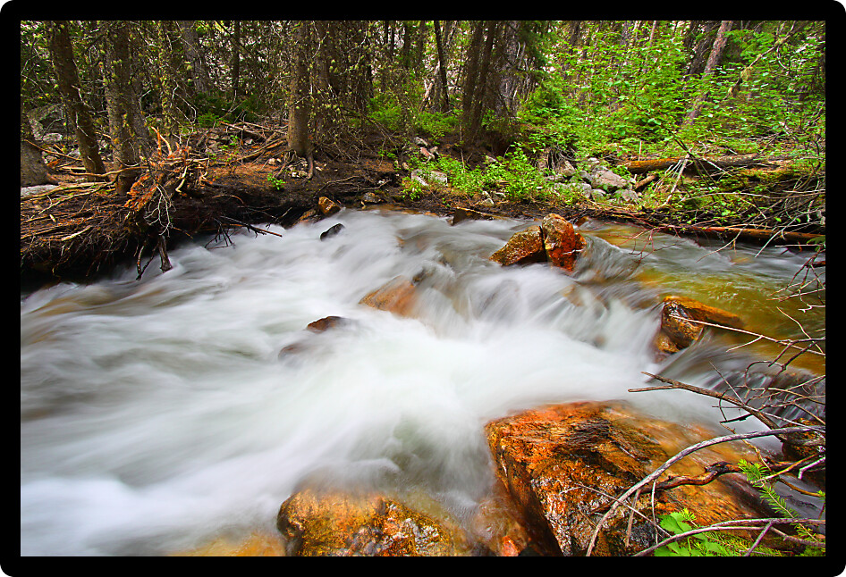 Rapids of Bucking Mule Creek in the Bighorn National Forest of Wyoming.