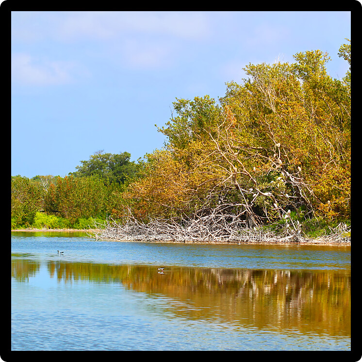 Beautiful sunny day at the Eco Pond of Everglades National Park in Florida.