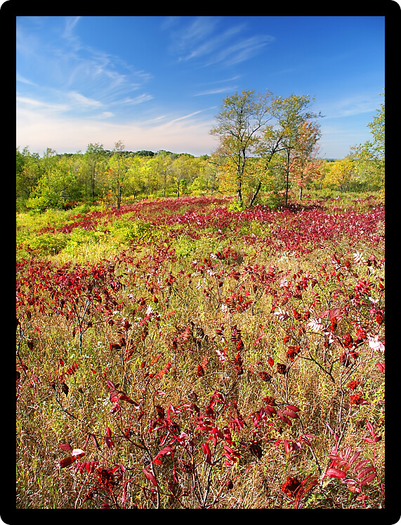 Beautiful hillside of the Kettle Moraine State Forest in Wisconsin.