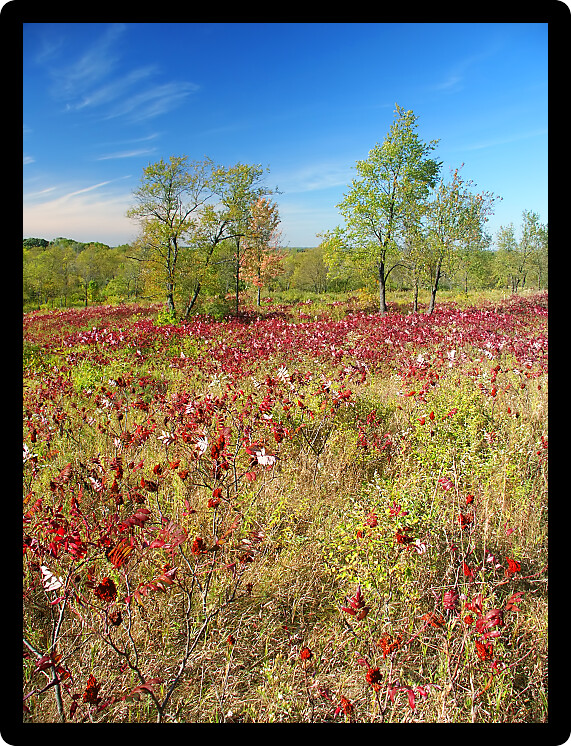 Beautiful hillside of the Kettle Moraine State Forest in Wisconsin.