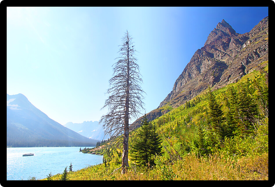 Shoreline of Lake Josephine illuminated under sunlight in Glacier National Park.