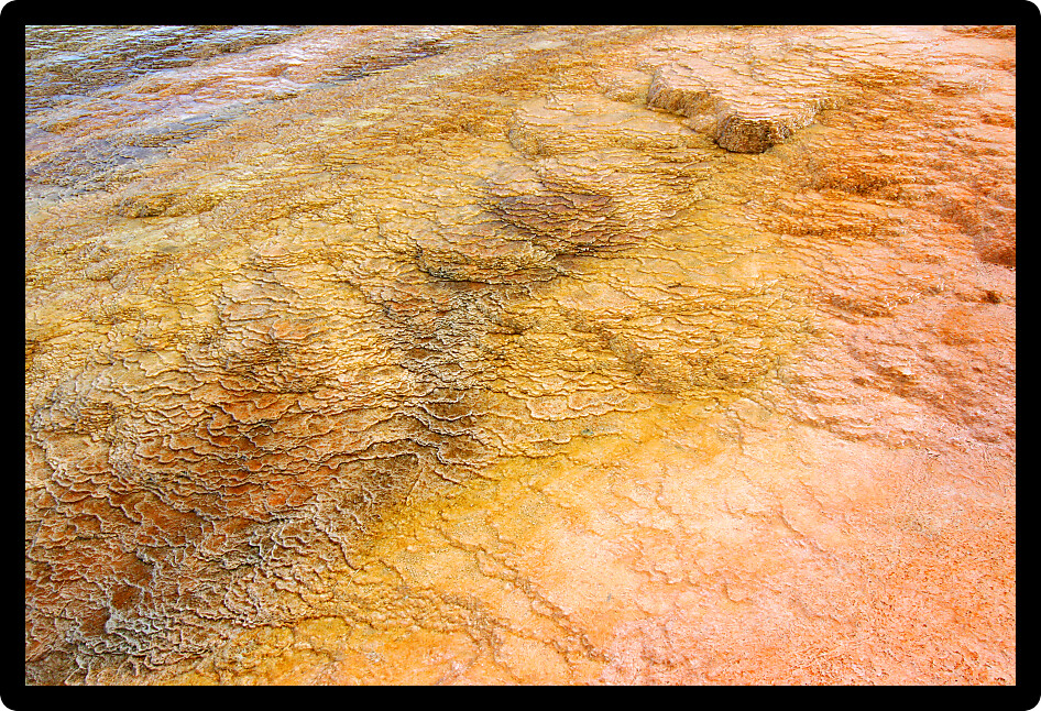 Thermophilic bacteria create a colorful bottom in Mammoth Hot Springs of Yellowstone National Park.