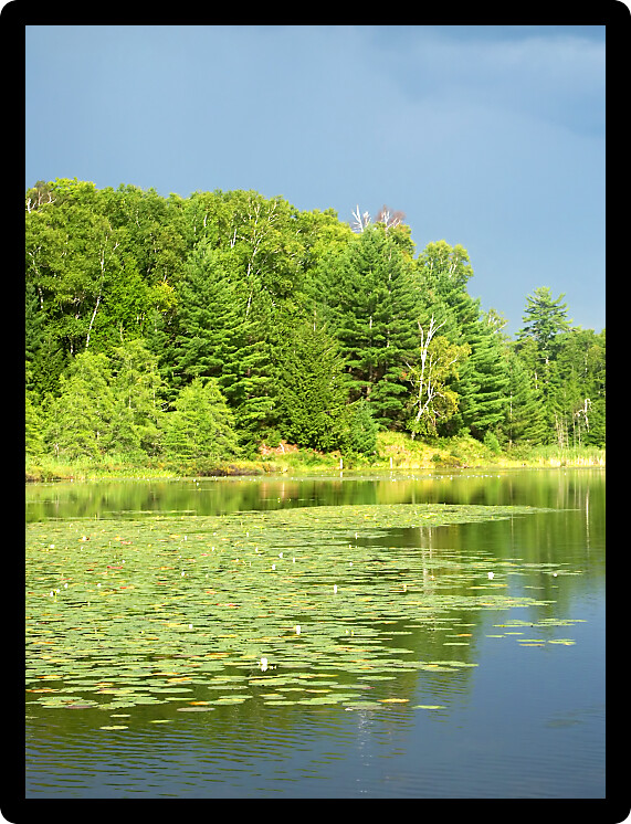 Thunderstorm clouds develop near Mud Lake of northwoods Wisconsin.