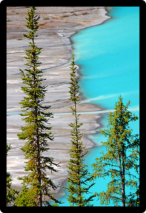 Magnificent blue waters of Peyto Lake of Banff National Park in Canada.