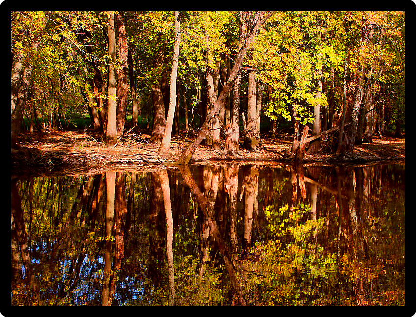 Bark River on a beautiful autumn day at Prince