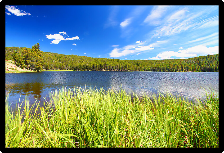 Grass grows along Sibley Lake in the Bighorn National Forest of Wyoming.