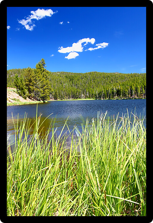Summer day at Sibley Lake in the Bighorn National Forest of Wyoming.