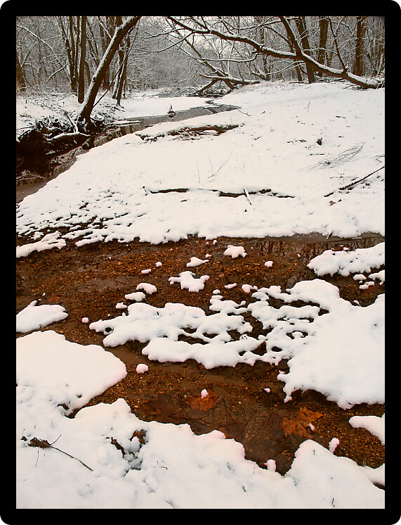 Snowfall along a small tributary of the Kishwaukee River in northern Illinois.